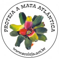 Botton Bromélia (Bioma Mata Atlântica)